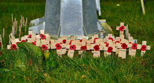 Memorial Poppies