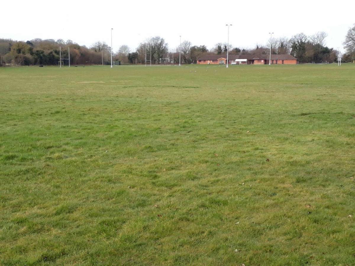 Triangle Field