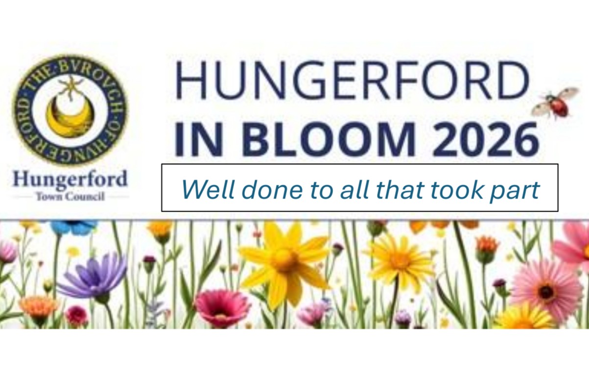 Hungerford in Bloom 2026 -Results & Thank you 